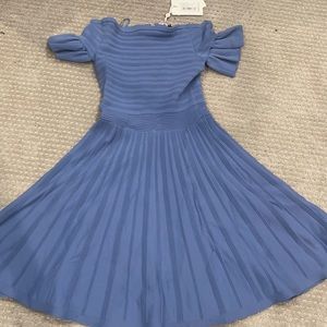 Frill Sleeve Skater Dress